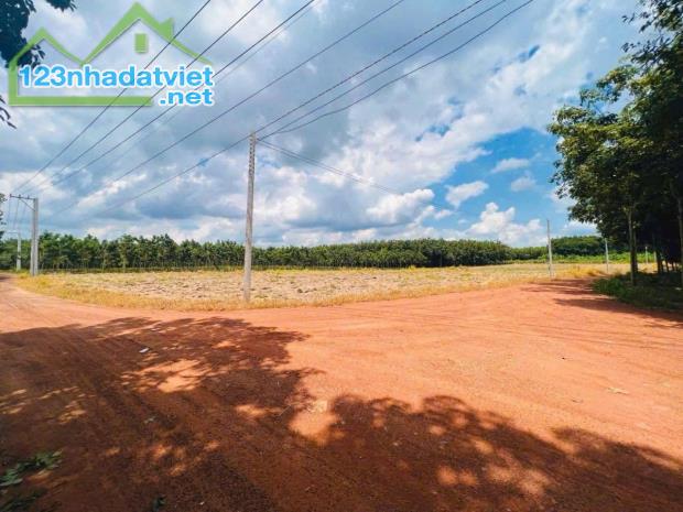 Cần bán đất vườn Tân Hoà sát tuyến 2 chỉ 300tr