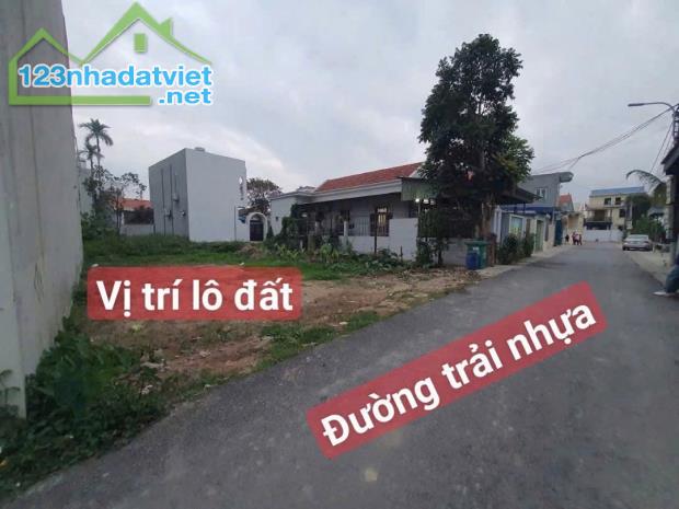 LÔ ĐẤT VIP TÌM CHỦ MỚI tại trung tâm Thuỷ Sơn - Thuỷ Nguyên gần sát Tỉnh lộ 351 - 1