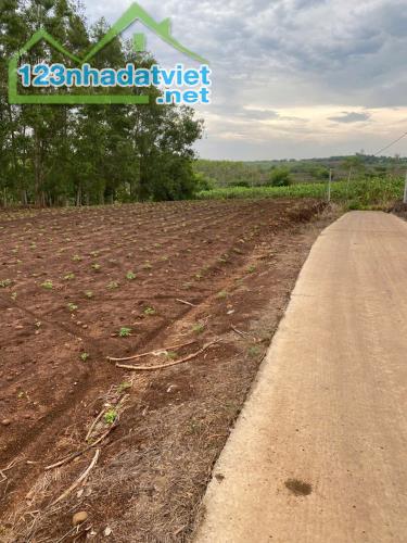 CHÍNH CHỦ CẦN BÁN  2 LÔ ĐẤT CÓ VỊ TRÍ ĐẸP GẦN SÂN BAY LONG THÀNH TẠI XÃ CẨM ĐƯỜNG - H. - 3