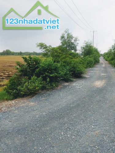 Cơ Hội Vàng! 103.000m2 Đất Nông Nghiệp Đức Hòa Long An - Đường DT823 - 100 Tỷ - 3