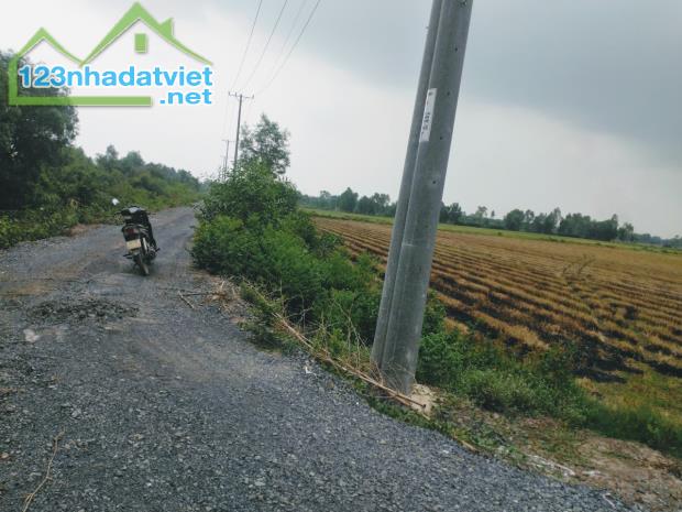 Cơ Hội Vàng! 103.000m2 Đất Nông Nghiệp Đức Hòa Long An - Đường DT823 - 100 Tỷ