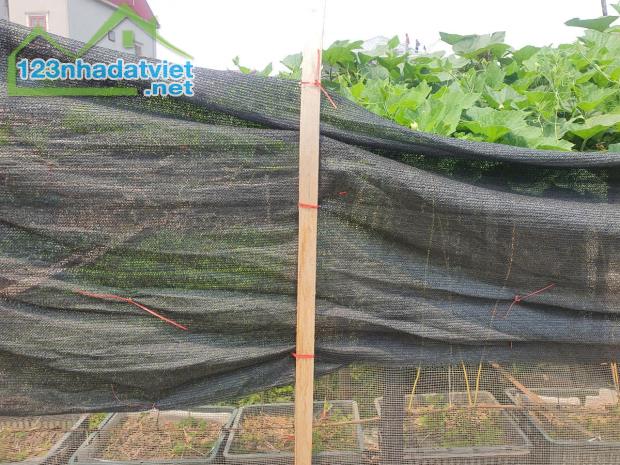 🌟 BÁN ĐẤT CHÍNH CHỦ – MINH ĐỨC, TP. HƯNG YÊN – Ô TÔ ĐỖ CỬA – GIÁ TỐT 🌟 - 1