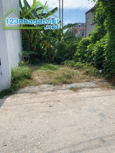 CẦN BÁN ĐẤT LÔ GÓC TUYỆT ĐẸP GẦN KCN QUANG MINH - 3
