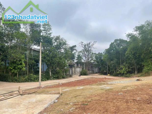 🔥 Bán đất Kiệt 36 Huyền Trân Công chúa, Thuỷ Biều, Huế giá chỉ 1,5X Tỷ - 4