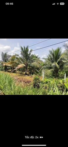 Bán đất khu vực xã Phước Thạnh, Càng Long, Trà vinh - 1