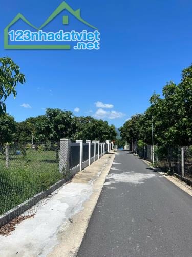 Qh An Toàn- Hướng đầm thủy triều. Xã Cam Thành Bắc- GIÁ CỰC KỲ TỐT- MUA LỜI NGAY. - 1