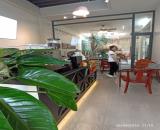 Cho Thuê Mặt Bằng Buôn Bán Kinh Doanh, DT430m2, P.Bửu Long Vị trí Huỳnh Văn Nghệ