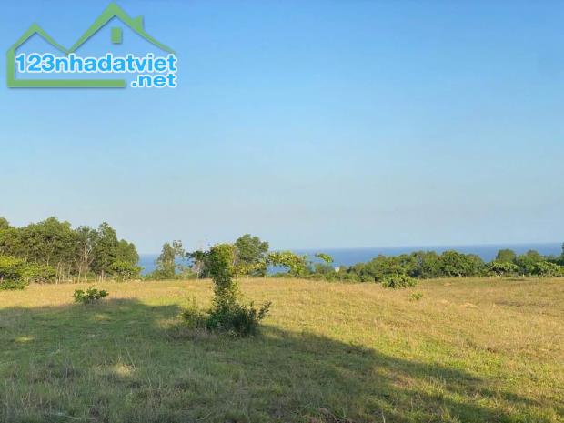 Cần bán 1500m2 CLN hướng biển -Phú hài, Mũi Né