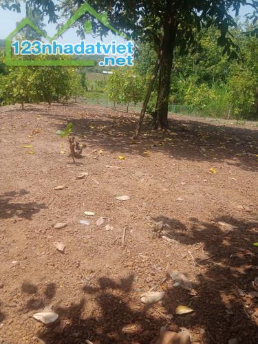 GÓC 2 MẶT TIỀN (18X60=1675,3M2) NGAY QUỐC LỘ 14 CHỢ MINH LẬP, CHƠN THÀNH💥GIÁ CHỈ 190TR - 2