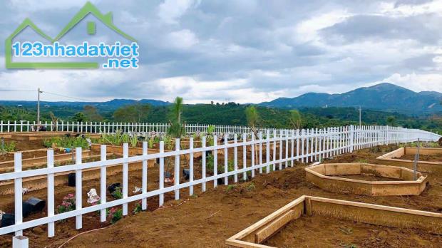 Cần Bán Đất Nền Nghỉ Dưỡng Giá Đầu Tư chỉ Từ 200tr - 3