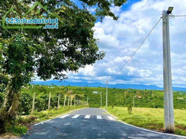 Cần Bán Đất Nền Nghỉ Dưỡng Giá Đầu Tư chỉ Từ 200tr - 4