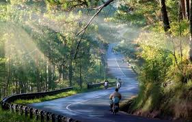 Cơ hội sở hữu lô đất view đẹp 10 x 13m Thái Phiên Thành Phố Đà Lạt - 1