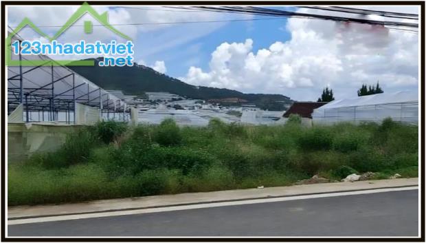 Cơ hội sở hữu lô đất view đẹp 10 x 13m Thái Phiên Thành Phố Đà Lạt - 2