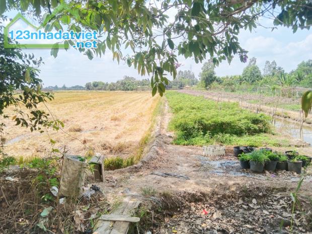 Đất 17.6x109 tổng 1932m2 mặt tiền Phạm Thị Ban Quận Bình Thủy