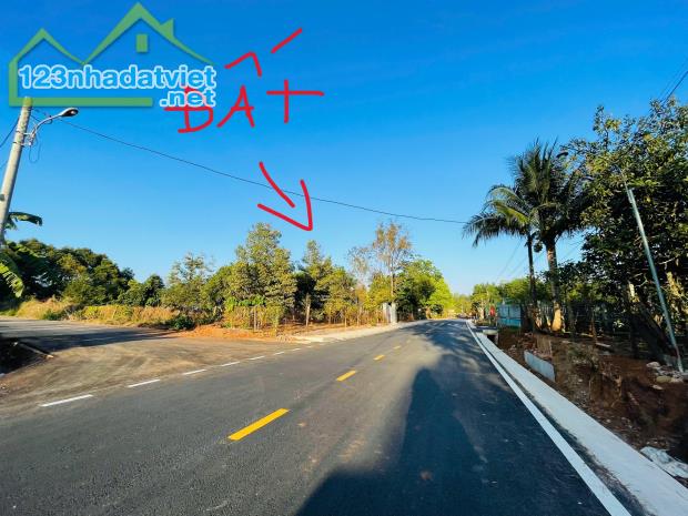BÁN ĐẤT SÀO SẴN THỔ CƯ 1.323M2 100 THỔ CƯ TRUNG TÂM THỊ XÃ 200TR