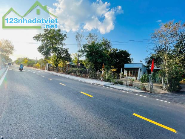 BÁN ĐẤT SÀO SẴN THỔ CƯ 1.323M2 100 THỔ CƯ TRUNG TÂM THỊ XÃ 200TR - 1