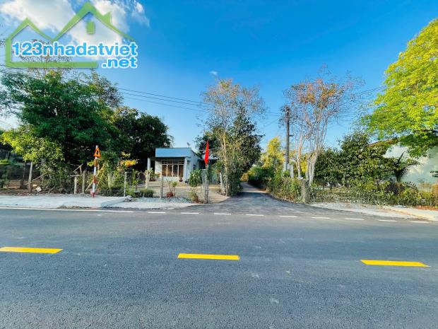 BÁN ĐẤT SÀO SẴN THỔ CƯ 1.323M2 100 THỔ CƯ TRUNG TÂM THỊ XÃ 200TR - 2