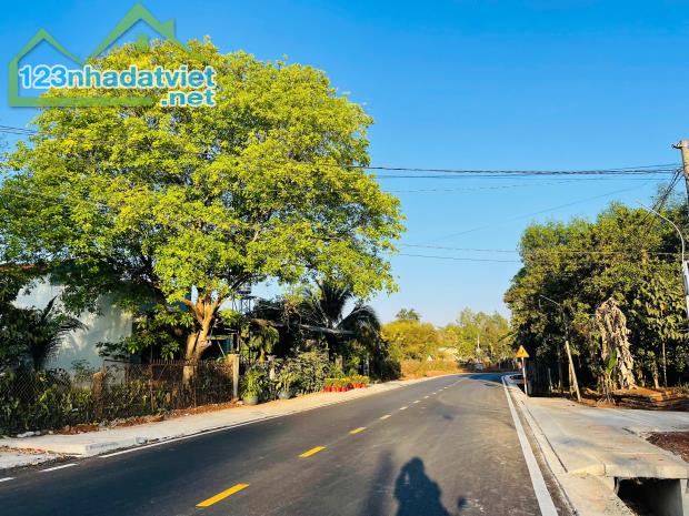 CHÍNH CHỦ BÁN 1323m2 ĐẤT LÀM NHÀ VƯỜN THỔ CƯ SẴN GẦN QL13 200TR - 2