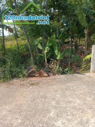 Lô đất Nhơn Thọ 1 – Hòa Phước – gần Trường Nguyễn Văn Linh - 1