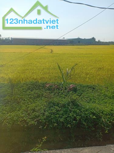 Lô đất Nhơn Thọ 1 – Hòa Phước – gần Trường Nguyễn Văn Linh - 2