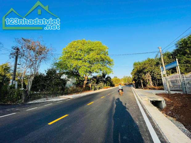 BÁN 1 SÀO 3 ĐẤT THỔ CƯ FULL SHR CẶP QL13 DÂN ĐÔNG TRUNG TÂM THỊ XÃ 190TR - 1