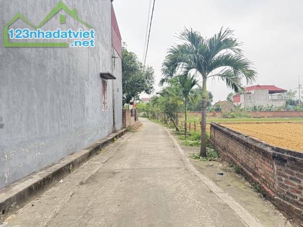 HÀNG ĐẸP _ĐAN TẢO TÂN MINH SÓC SƠN - 1