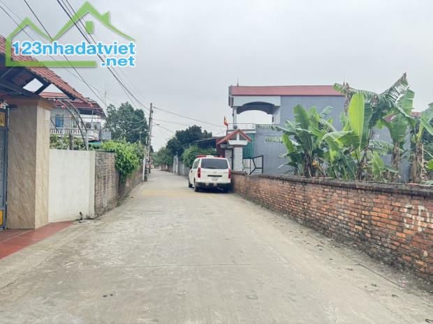 HÀNG ĐẸP _ĐAN TẢO TÂN MINH SÓC SƠN - 2