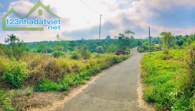 💥BÁN ĐẤT VỊ TRÍ VIP SÁT KDL ĐÔI DÉP - 2 LÔ - GIÁ 1.7 TỶ  ZALO 0938803675