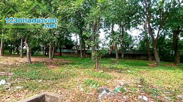 Bán lô đất 5010m2 KCN Vĩnh Lộc- Bình Hưng Hòa A - Bình Tân giá chỉ 30 tỷ