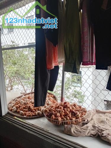 BÁN CĂN HỘ TẬP THỂ THỊ TRẤN ĐÔNG ANH. SỔ ĐỎ CHÍNH CHỦ - 2