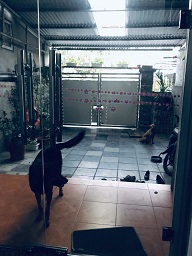 CHÍNH CHỦ CẦN BÁN ĐẤT TRUNG TÂM METRO HÀ TU – HẠ LONG - 3
