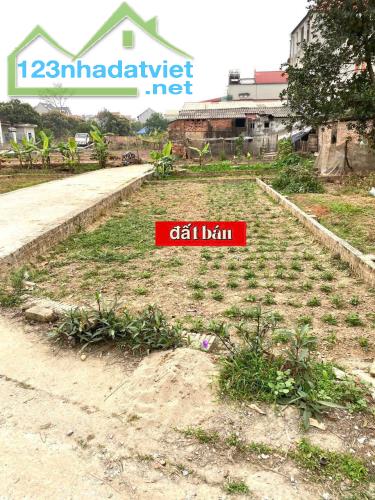 Bán đất Cộng Hòa, Phù Linh, Sóc Sơn 59m2, lô góc ô tô ngủ tại đất nhỉnh 1,3 tỷ - 2