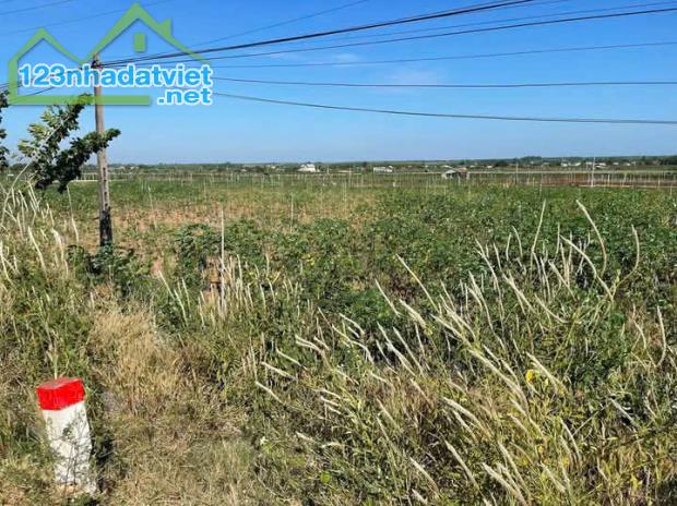 Gấp bán 930m2 2 mặt tiền ĐT 795 (ngang 15m dài 62m) phủ hồng cách khu TT hành chính thương - 3