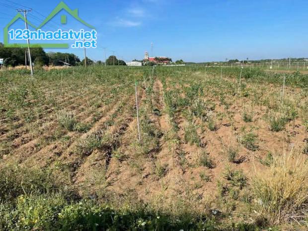 Gấp bán 930m2 2 mặt tiền ĐT 795 (ngang 15m dài 62m) phủ hồng cách khu TT hành chính thương