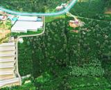 GIẢM MẠNH TỪ 19TỶ LÔ ĐẤT MẶT TIỀN QL20 BÁN SÁT VỐN CHỈ CÒN GẦN 18TỶ