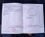 GẤp gấp ...Bán đất Long Phước Long Thành Đồng Nai .nóng lắm rồi nóng nóng