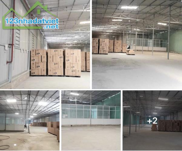 Cho thuê kho 1000-2000m2 gần cầu vượt Quang Trung Quận 12 - 1