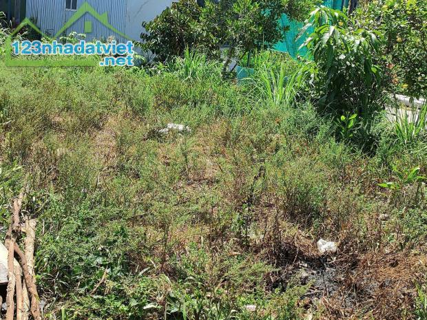 Chính chủ bán đất mặt tiền Đường 986A, Xã Khánh An, U Minh, Cà Mau - 1