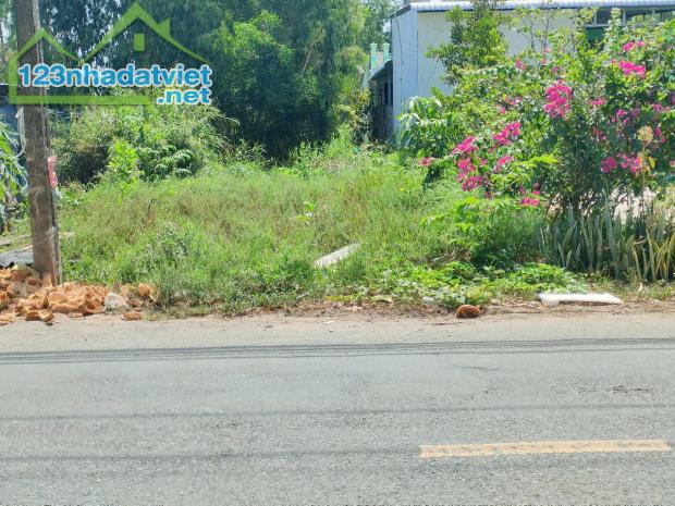 Chính chủ bán đất mặt tiền Đường 986A, Xã Khánh An, U Minh, Cà Mau - 3