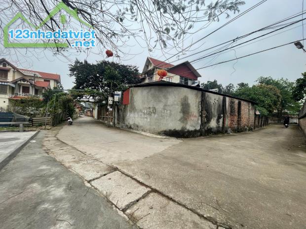 BÁN ĐẤT 250m² – Mặt tiền rộng 14m, tại Thanh Bình, giá chỉ 1x triệu/m² 💰