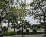 HIẾM ĐẤT, MẶT PHỐ TRỊNH CÔNG SƠN, TÂY HỒ-KD-VỈA HÈ-Ô TÔ: 120M, MT 5,5M, GIÁ 88 TỶ