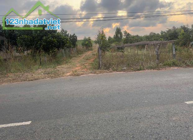 CƠ HỘI ĐẦU TƯ: 1033m2 ĐẤT THỔ CƯ THẮNG HẢI - HÀM TÂN - BÌNH THUẬN - GIÁ CHỈ 1 TỶ - SỔ ĐỎ - 2