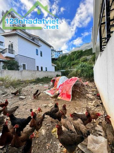 Giảm giá bán nhanh đất biệt thự Vạn Thành - P5 - Đà Lạt - 2