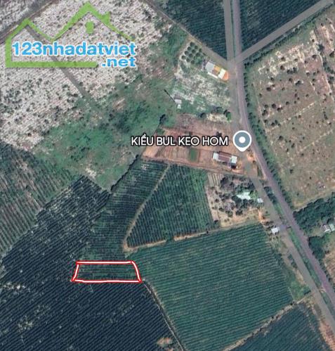 Đất Đẹp Thắng Hải – 1236m² Giá Chỉ 1,2 Tỷ – Đầu Tư Sinh Lời Cao - 1