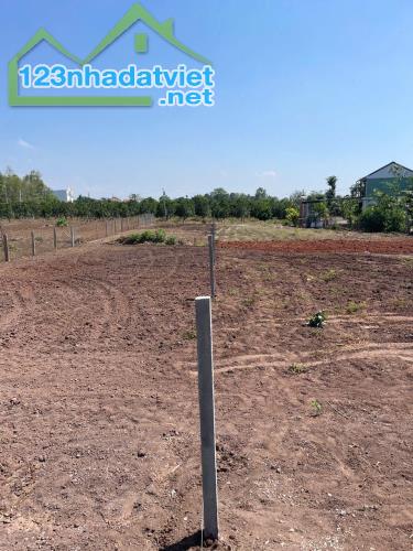 Chủ cần tiền bán lo đất  1 sào  có 100 tc hai mặt tiền đường mặt trước và mặt sau - 1