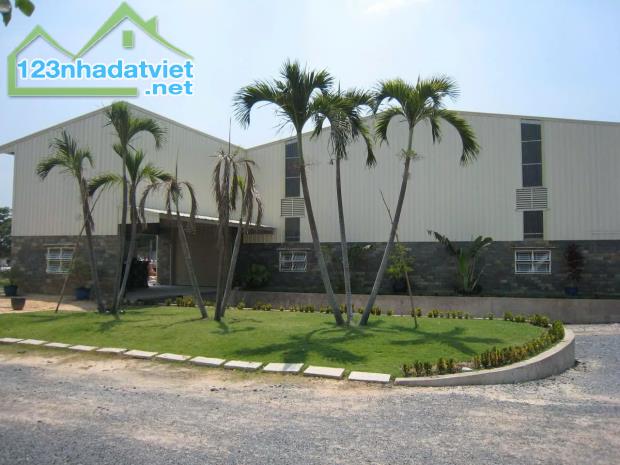 cần bán kho xưởng 10.000m2 Bầu Trâm Xã Trung An Huyện Củ Chi - 1