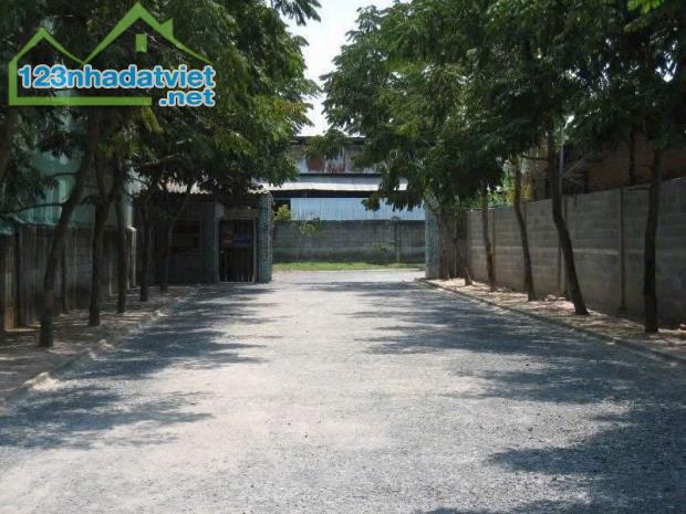 cần bán kho xưởng 10.000m2 Bầu Trâm Xã Trung An Huyện Củ Chi - 4
