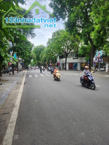 Bán Nhà Mặt Phố-Phố Huế 185m2/ Mặt tiền 6.5m 147 Tỷ, Sổ vuông, Xây Tòa Building - 2
