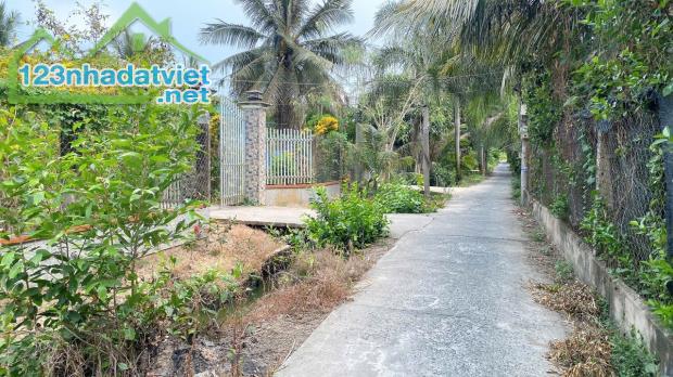 Đất 440m2 đường tổ 5+6 Mỹ Lương,Mỹ Phong,TP.Mỹ Tho,Tiền Giang