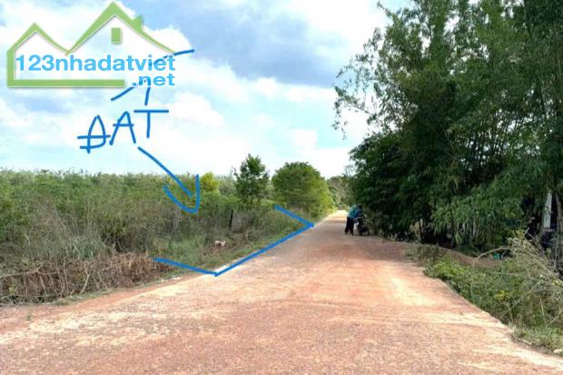 ĐÚNG 198 TRIỆU SỞ HỮU NGAY 1 LÔ ĐẤT THỔ CƯ GẦN 300M2 CÁCH QUỐC LỘ 500M - 1
